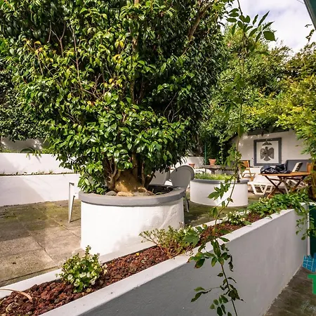 Casa Das Camelias